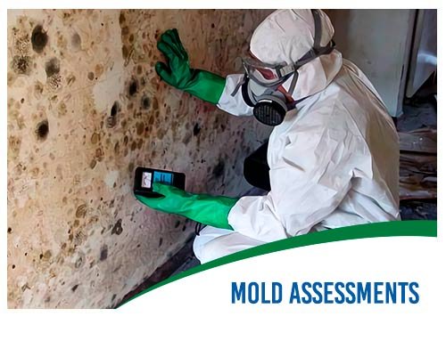 Mold-Assessments